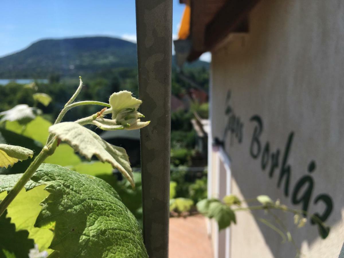 Sipos Borhaz Es Vendeghaz Hotel Badacsonyors Exterior photo